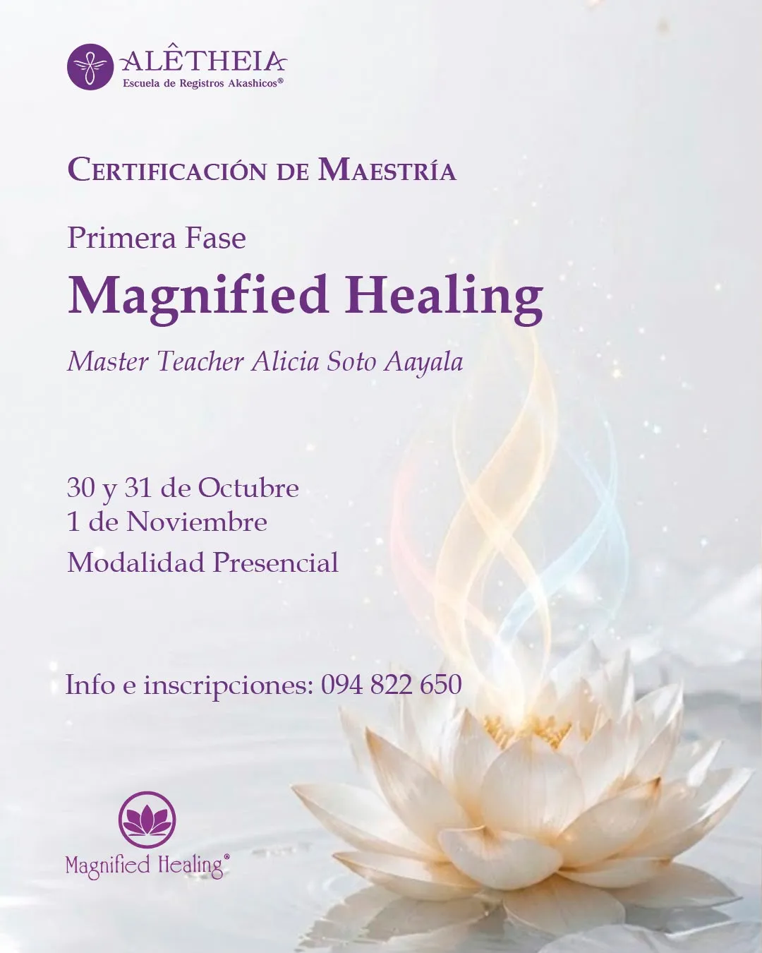 Afiche: Maestría en Magnified Healing®, primera fase